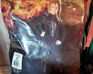 The Hunger Games Mocking Jay Halloween costume