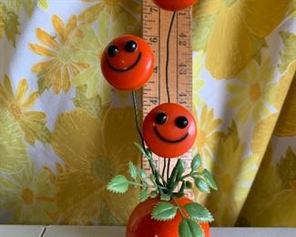 Orange Smile Plant $8.00