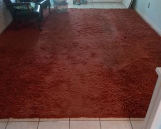 SHAG RUG 15FT X 12FT 
