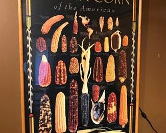 $ 20.00 - "Indian Corn" framed poster (24.5"x36.5")