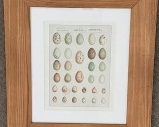 Framed egg shell etching. 
