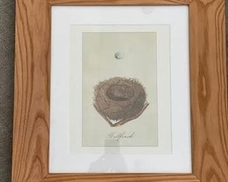 Framed nest etching. 