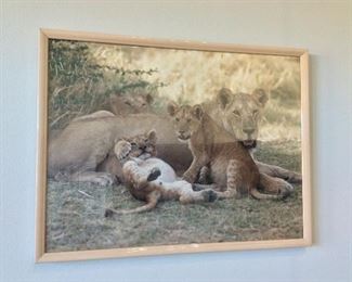Lion Family, 42" x 32". 