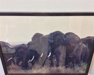Elephants, 42" x 32".