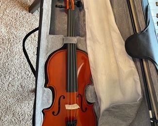 Violin