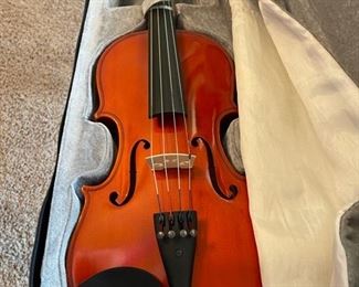Violin