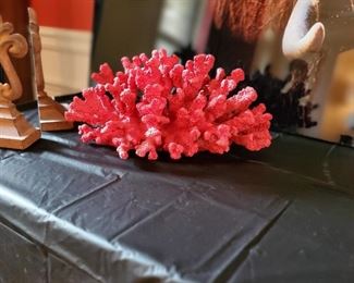 Decorative Coral