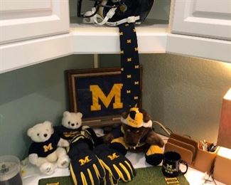 University Of Michigan 