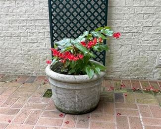 Concrete Garden Planter / Flower Pot