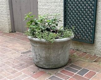 Concrete Garden Planter / Flower Pot
