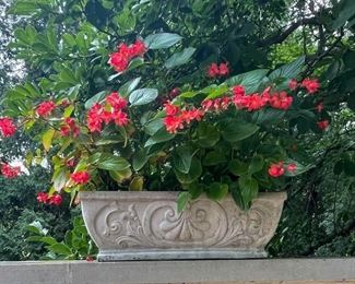 Concrete Garden Planter 