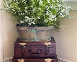 Home Decor - Decorative Storage & Botanicals