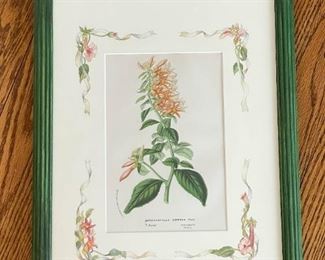 Framed Artwork - Botanical Print