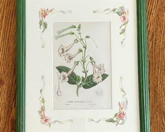 Framed Artwork - Botanical Print