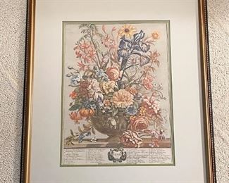 Framed Botanical Print