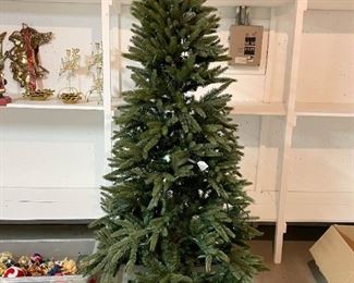 Lighted Christmas Tree