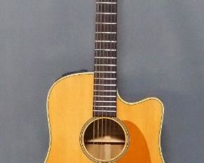 Takamine 6-String Acoustic-Electric Guitar Model EG-10C, In Hard Case, Stand Not Included
