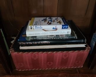 Pet Bed Ottoman & Books