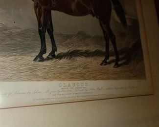 Claucus Horse Framed Print