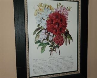 Floral Framed Print