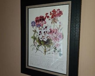Floral Framed Print
