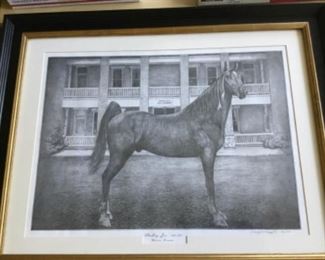 Strolling Jim framed print. 
