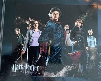 Harry Potter Lithograph