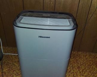 Hisense Dehumidifier