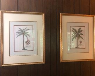 two large eyes after eating Skip's special brownies