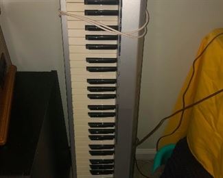 rare set of perfectly preserved pterodactyl teeth