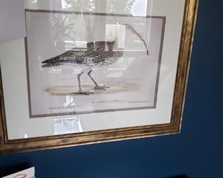 Jay. Rothschild, editeur
1of 17
Courlis Sendre