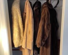 Furs- coats, jackets and hats