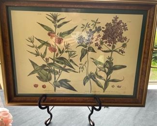 framed art, framed print