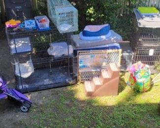 Huge selection of dog and cat accessories.