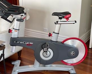 Lifecycle GX spinning bike.