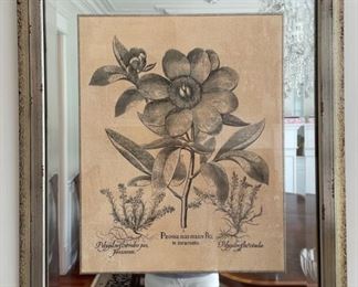 Pair of botanical prints mounted on mirrors. Each measures 28" W x 31" H. Photo 2 of 2.