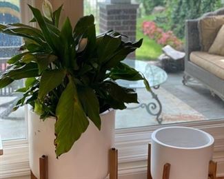 Modern white planters.