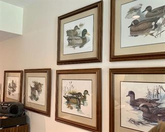 Wildlife Art collection