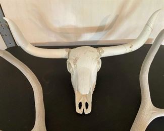 Antlers And Faux Head