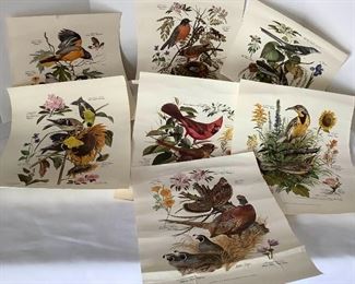 Prints by Arthur Singer