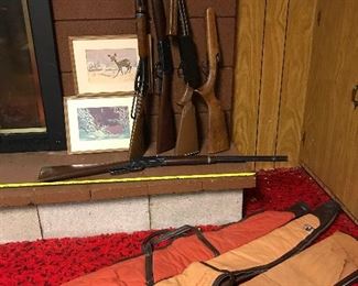 Pellet Guns and Pictures