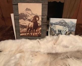 Mountain Creature Treasures