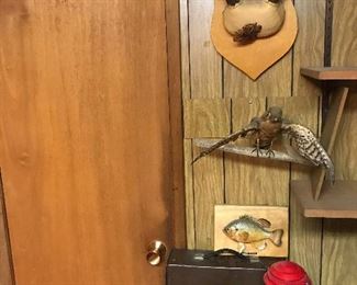 From Skies to Seas Wildlife Collection