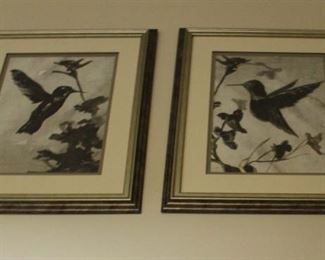 Framed Bird Prints