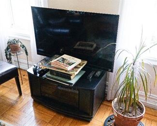 TV and Stand plants