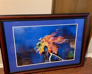 265 Fall Maple Yachats River Oregon