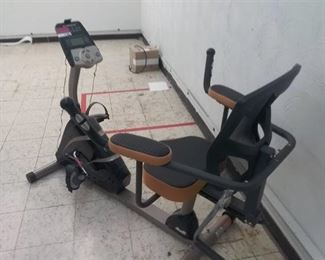 Exerputic exercise bike