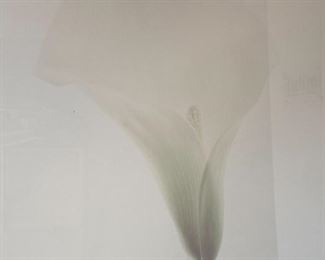 Large Scale Greg Copeland Cala Lily Framed