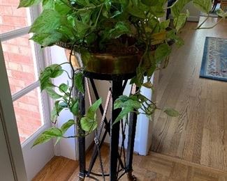 Elegant Plant Stand