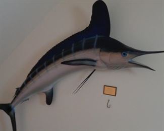 Marlin caught at Cape Hatteras by the homeowner